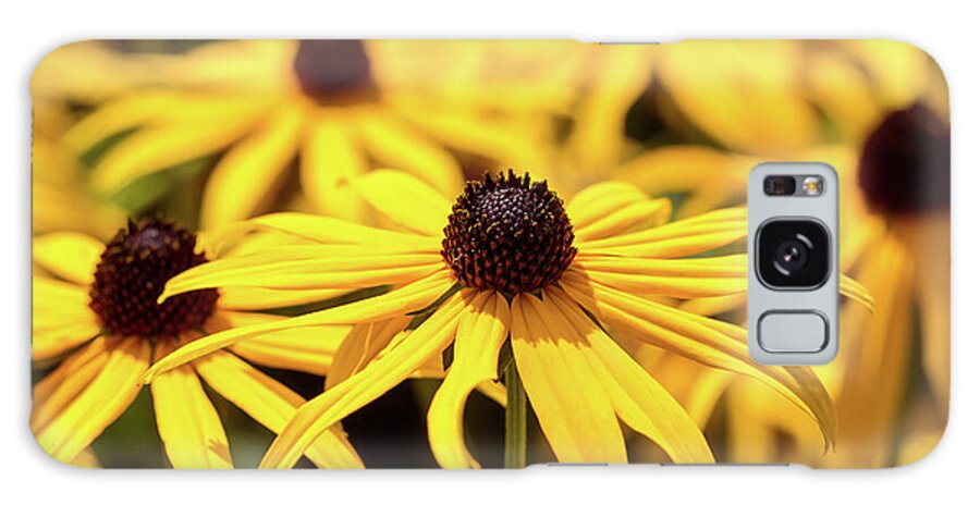 Flower Galaxy Case featuring the photograph Black Eyed Susan by Tanya C Smith