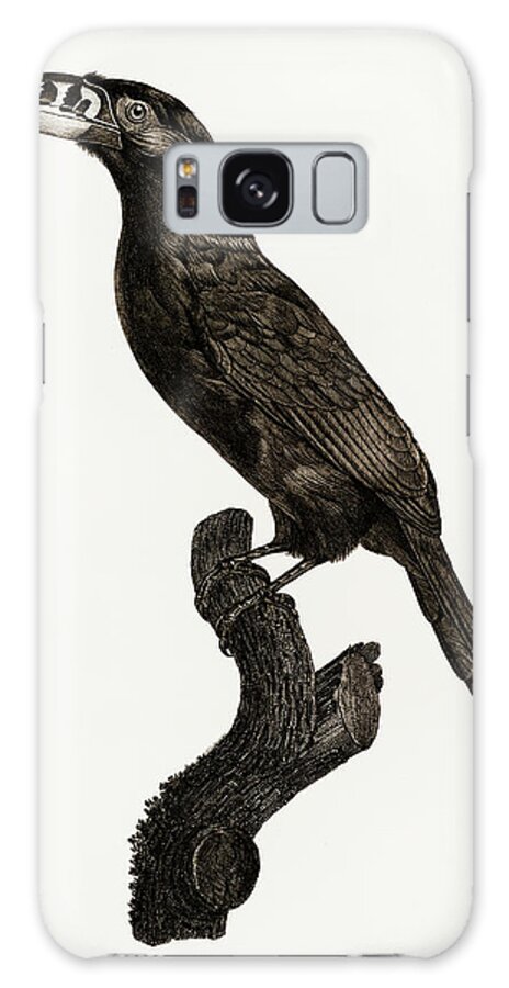 Jacques Barraband Galaxy Case featuring the digital art Black Necked Aracari Male - Vintage Bird Illustration - Birds Of Paradise - Jacques Barraband by Studio Grafiikka