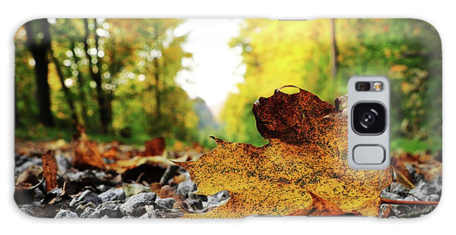 Acer Galaxy Case featuring the photograph Black spotted yellow marple leaf on gravel road which surrounded forest, which playing many colors. Pinch of autumn in semptember by Vaclav Sonnek