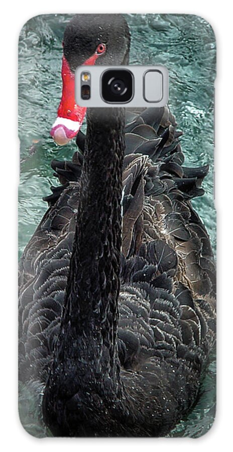 Bird Galaxy Case featuring the photograph Black Swan by Rene Vasquez
