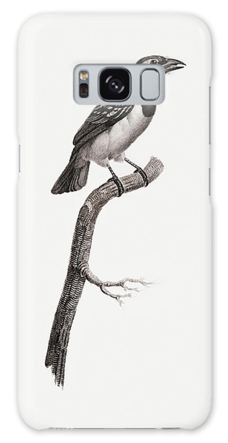Jacques Barraband Galaxy Case featuring the digital art Black Throated Sparrow - Vintage Bird Illustration - Birds Of Paradise - Jacques Barraband by Studio Grafiikka