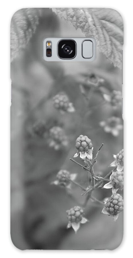 Blackberries Galaxy Case featuring the photograph Blackberries by Alan Norsworthy
