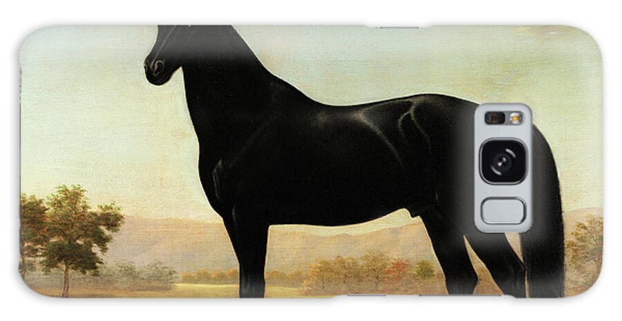David Woods Galaxy Case featuring the painting Blackhawk, 1859 by David Woods