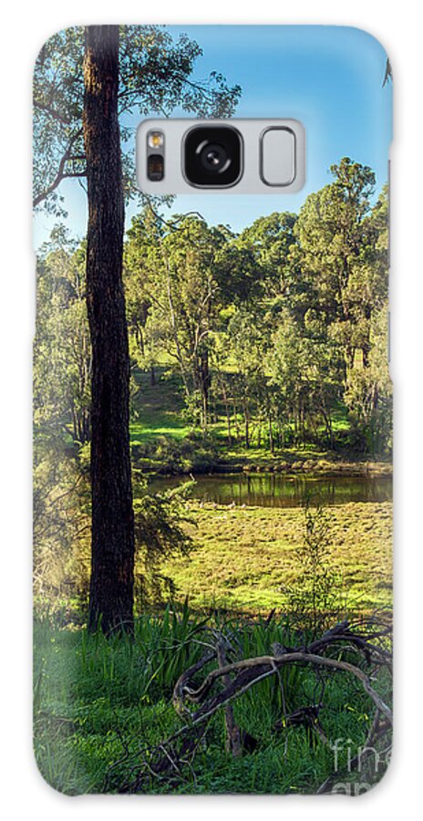 Blackwood Galaxy Case featuring the photograph Blackwood Winter Green by Elaine Teague
