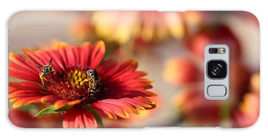 Blanket Flowers Galaxy Case featuring the photograph Blanket Flowers by Mingming Jiang