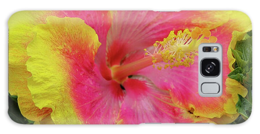 Hibiscus Galaxy Case featuring the photograph Bleeding Pink by Tony Spencer