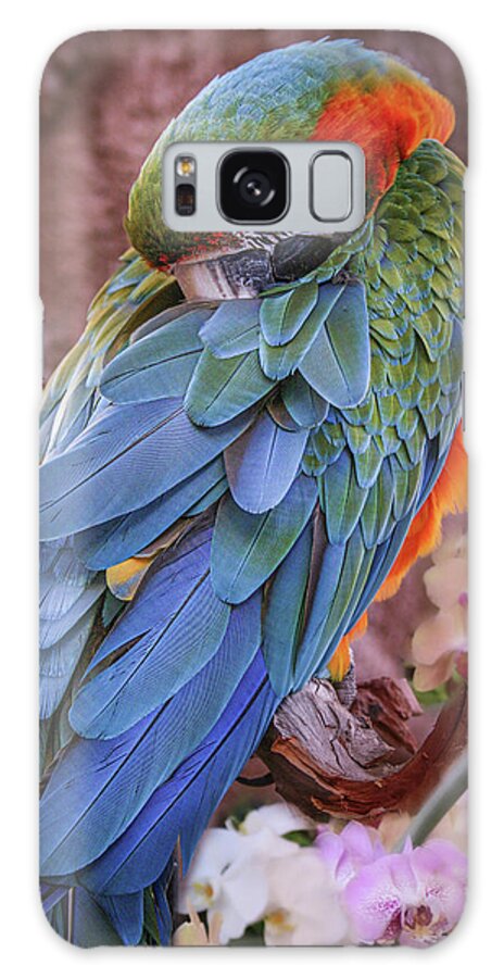 Macaw Galaxy Case featuring the photograph Blue and Yellow Macaw by Sally Bauer