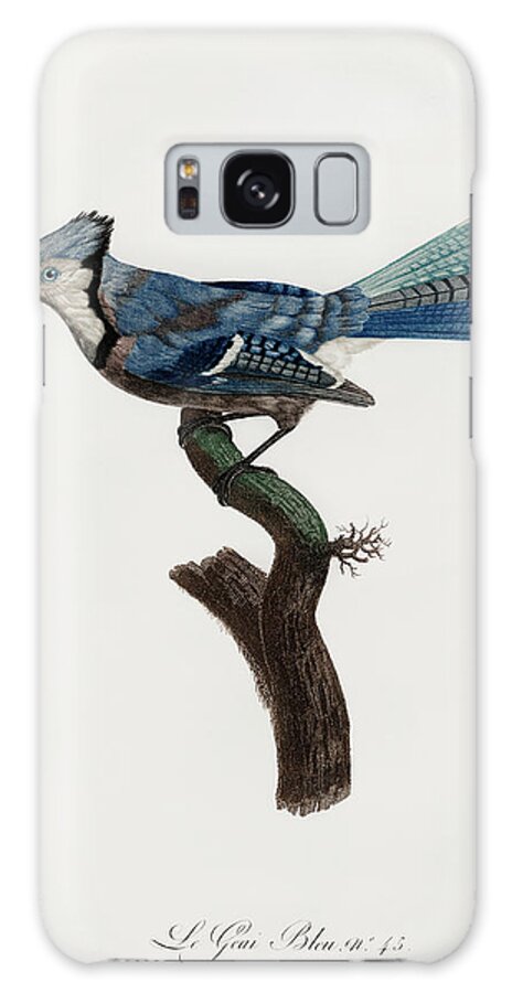 Jacques Barraband Galaxy Case featuring the digital art Blue Green Jay - - Vintage Bird Illustration - Birds Of Paradise - Jacques Barraband - Ornithology by Studio Grafiikka