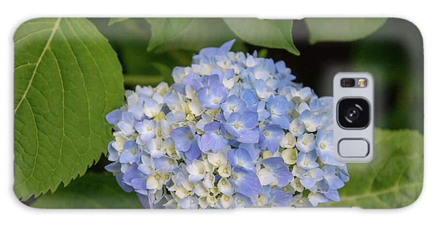 Flower Galaxy Case featuring the photograph Blue Hydrangea by Matt Sexton