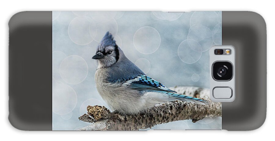 Songbird Galaxy S8 Case featuring the photograph Blue Jay Perch by Patti Deters