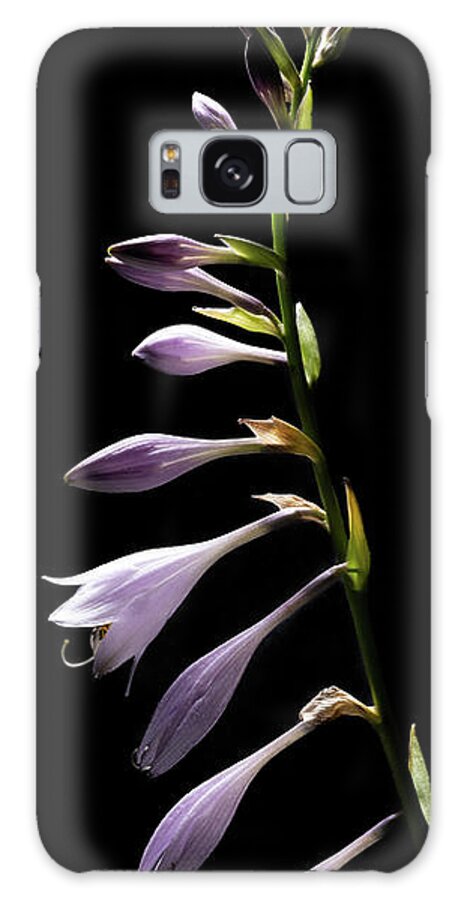 Blue Plantain Lily Galaxy S8 Case featuring the photograph Blue Plantain Lily 2 by Kevin Suttlehan