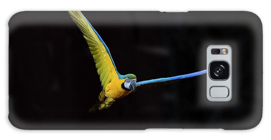 Brazil Galaxy Case featuring the photograph Blue Yellow Macaw by Patrick Nowotny