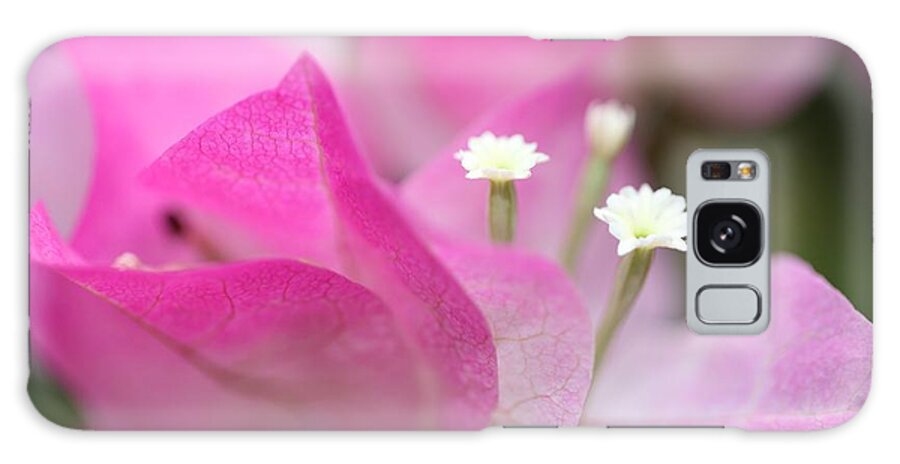 Bougainvillea Galaxy Case featuring the photograph Bougainvillea by Mingming Jiang
