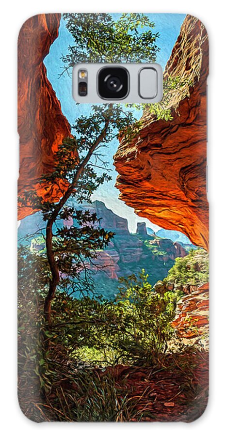 Arizona Galaxy Case featuring the photograph Boynton 04 376 Paint by Scott McAllister