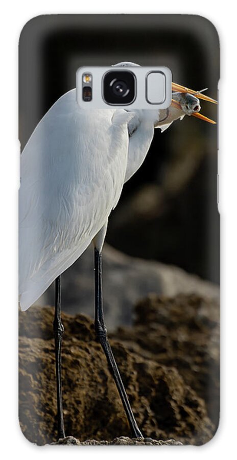Great Egret Galaxy Case featuring the photograph Breakfast on the rocks by RD Allen