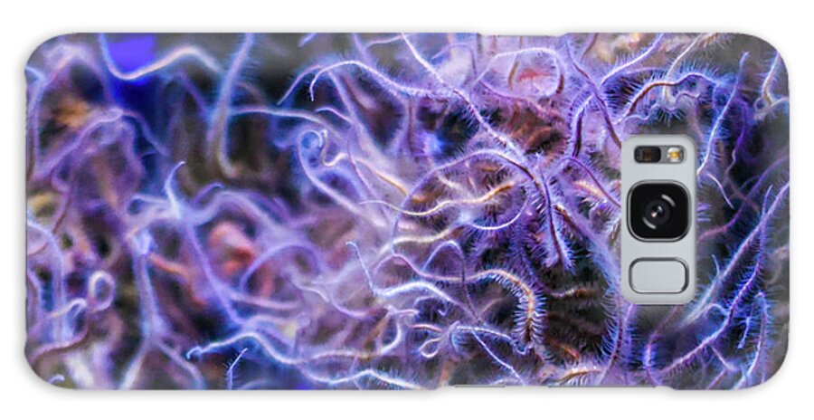 Abstract Galaxy Case featuring the photograph Brittle Sea Stars by David A Litman
