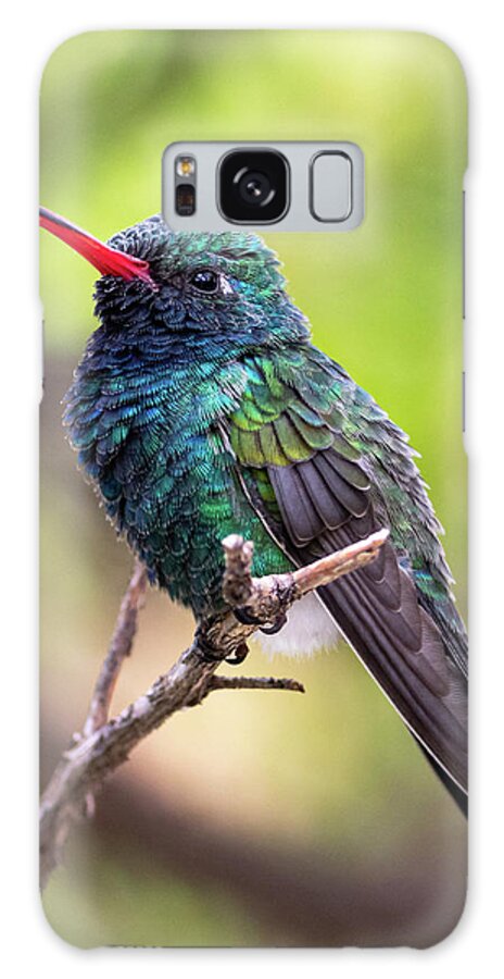 Hummingbird Galaxy Case featuring the photograph Broad-Billed Hummingbird by Mary Hone