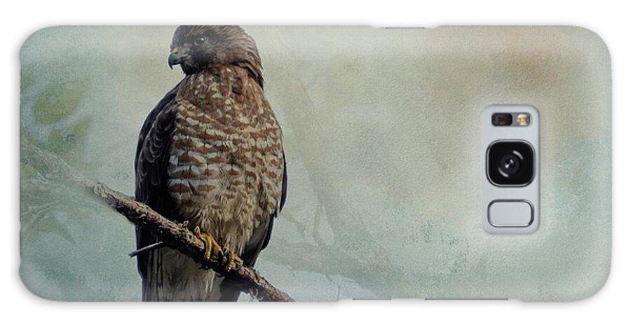 Broad-winged Hawk Galaxy Case featuring the photograph Broad-Winged Hawk by Eva Lechner