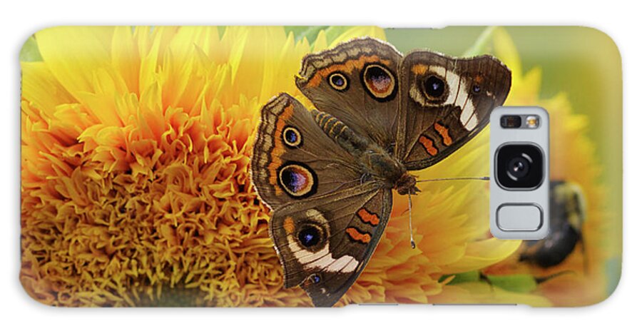 Butterfly Galaxy Case featuring the photograph Broken Wing by Grant Twiss