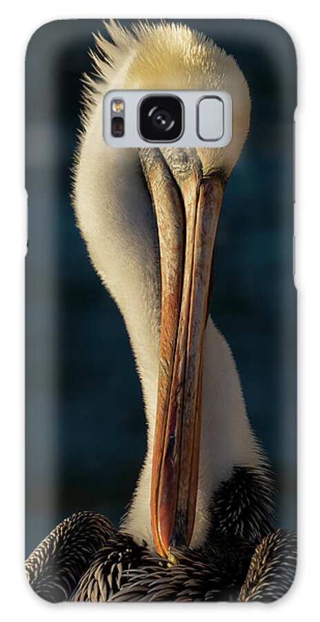 Birds Galaxy Case featuring the photograph Brown Pelican Portrait by RD Allen
