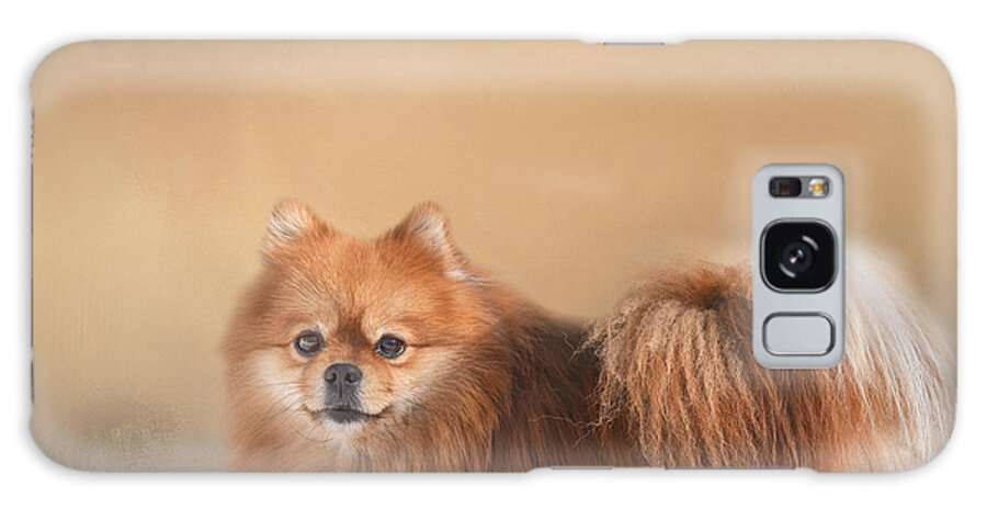 Pomeranian Galaxy Case featuring the mixed media Brown Pomeranian Dog by Elisabeth Lucas