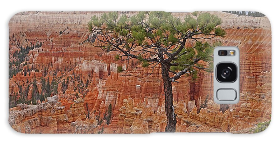 Bryce Canyon National Park Galaxy Case featuring the photograph Bryce Canyon National Park - Living On the edge by Yvonne Jasinski