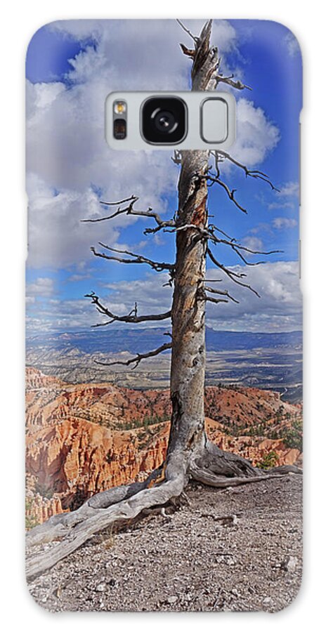 Bryce Canyon National Park Galaxy Case featuring the photograph Bryce Canyon National Park - Still standing by Yvonne Jasinski