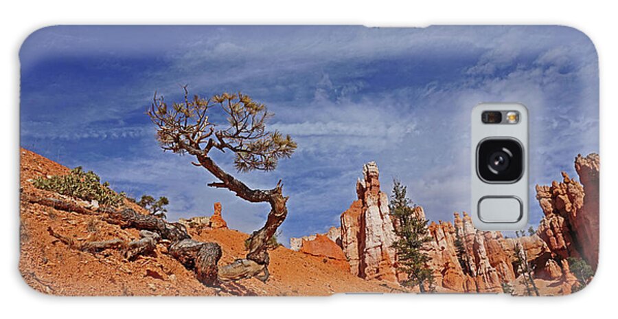 Bryce Canyon National Park Galaxy Case featuring the photograph Bryce Canyon National Park - Shaped by the Wind by Yvonne Jasinski