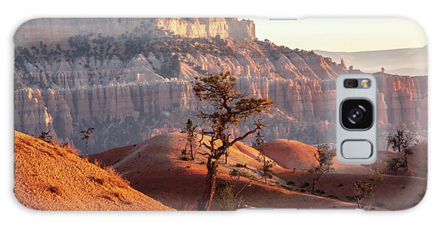 Beauty In Nature Galaxy Case featuring the photograph Bryce Canyon Sunrise Tree by Nathan Wasylewski