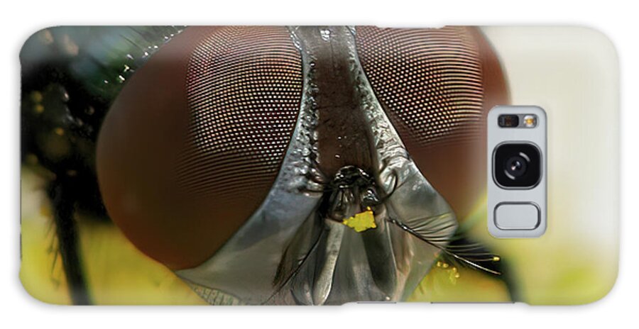 Fly Galaxy Case featuring the photograph Bugged Eyed by Lens Art Photography By Larry Trager
