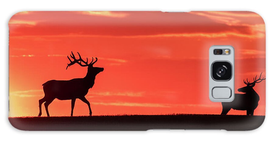 Bull Elk Galaxy Case featuring the photograph Bull Elk At Sunrise by Gary Beeler