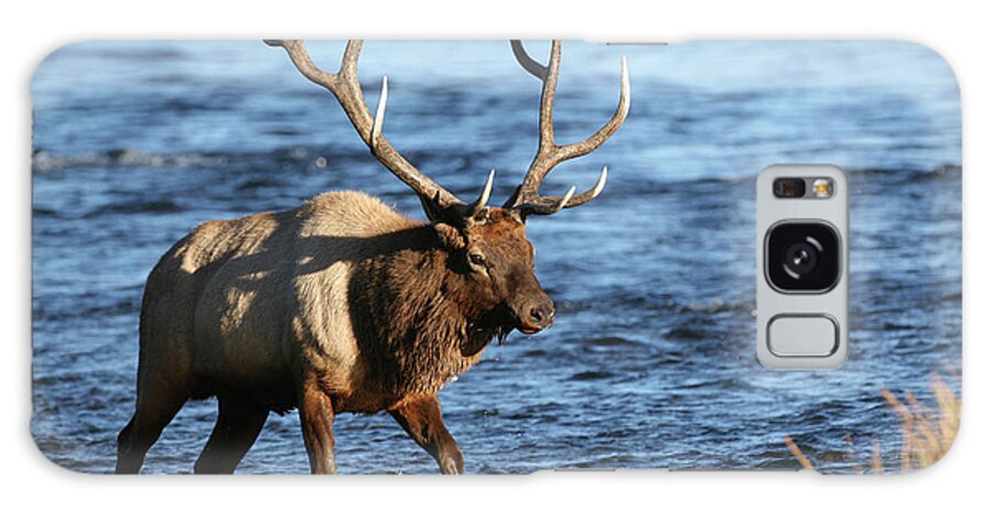 Bull Elk Galaxy Case featuring the photograph Bull Elk Wading through the River by Wesley Aston