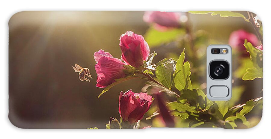Bumblebee Galaxy Case featuring the photograph Bumblebee and Rose of Sharon by Diane Diederich