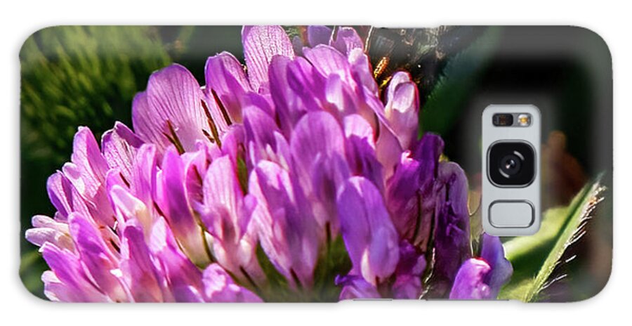 Bee Galaxy Case featuring the photograph Bumblebee on clover by Brian Shoemaker