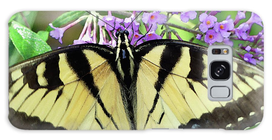Butterfly Galaxy Case featuring the photograph Bungalow Butterfly by Amy Dundon