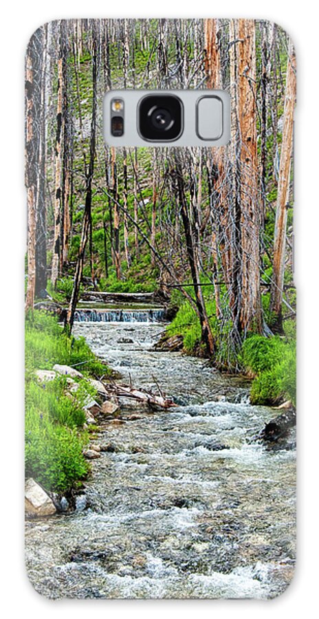 Stream Galaxy Case featuring the photograph Burnt Out Forest by Pamela Dunn-Parrish