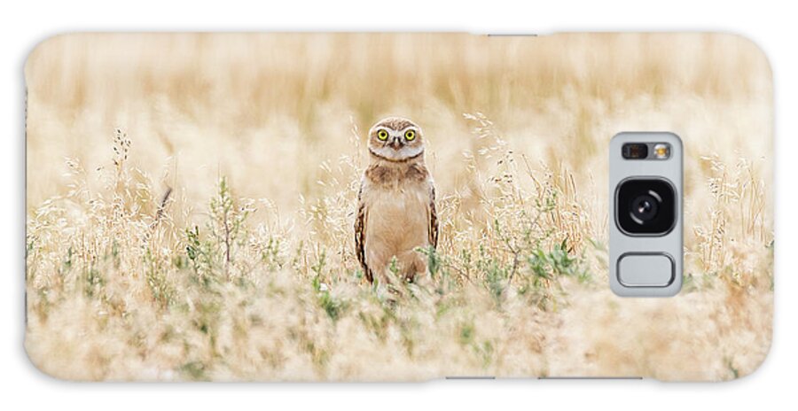 Owl Galaxy Case featuring the photograph Burrowing Owl Owlet Says Hello by Tony Hake