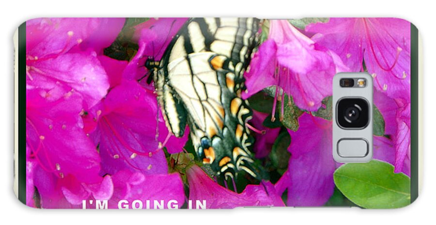  Galaxy Case featuring the photograph Butterfly in Azaleas by Shirley Moravec