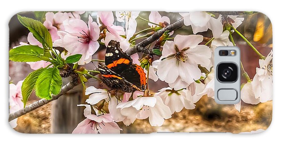 Cherry Blossoms Galaxy Case featuring the photograph Butterfly Nestled in the Cherry Blossoms by Michael Dean Shelton
