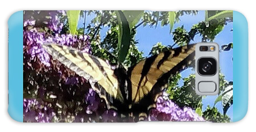 Butterfly Galaxy Case featuring the photograph Butterfly On Butterfly Bush by Monica Resinger