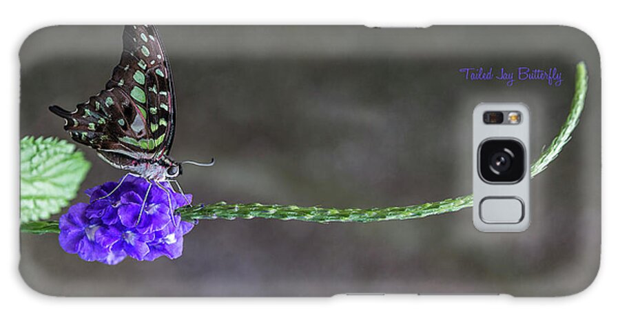 Butterfly Galaxy Case featuring the photograph Butterfly - Tailed Jay II by Patti Deters