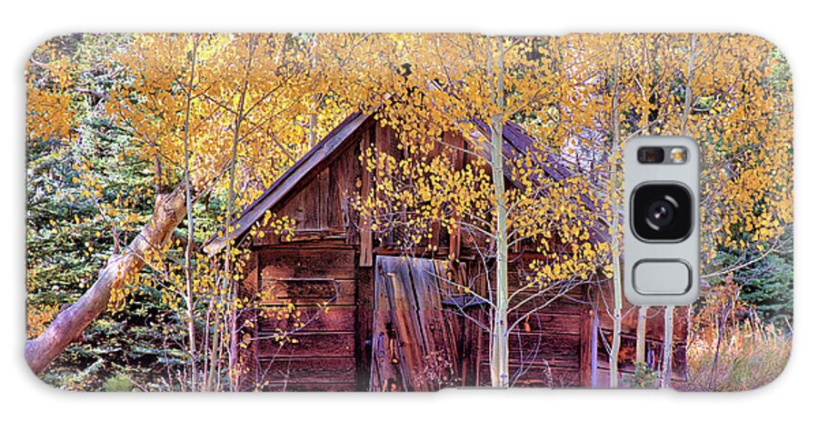 Cabin Galaxy Case featuring the photograph Cabin in the Forest by Bob Falcone