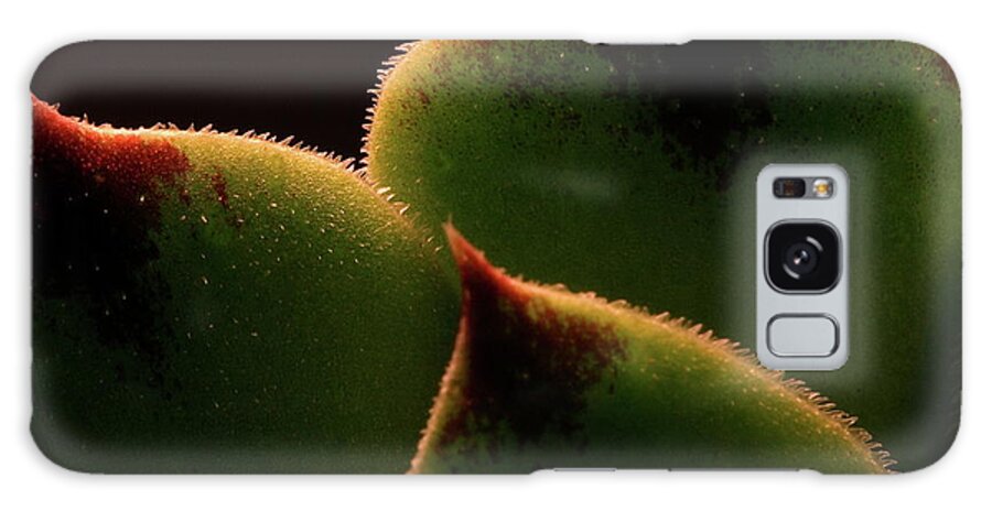 Macro Galaxy Case featuring the photograph Cactus 9609 by Julie Powell