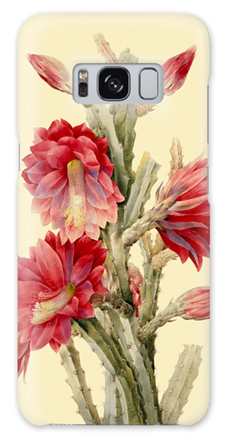 Cactus Galaxy Case featuring the digital art Cactus with red flowers by Madame Memento