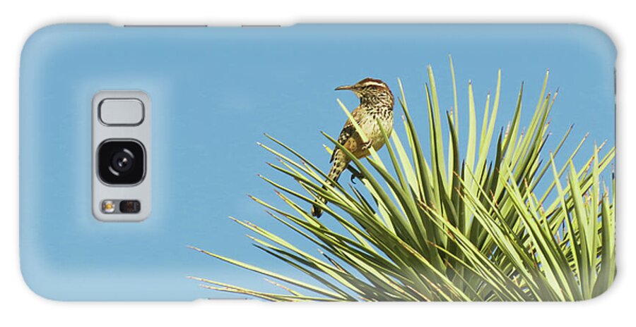 Bird Galaxy Case featuring the photograph Cactus Wren by Patti Deters