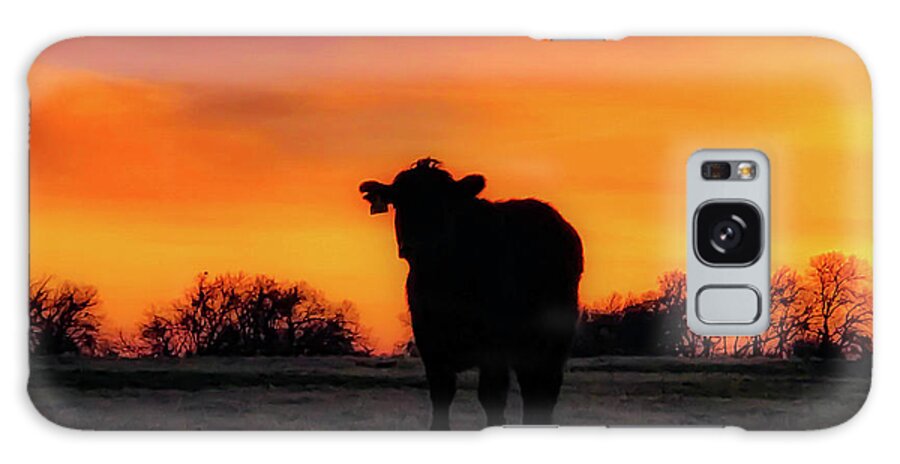 Cow Galaxy Case featuring the photograph Calf at Sunset by Pam Rendall