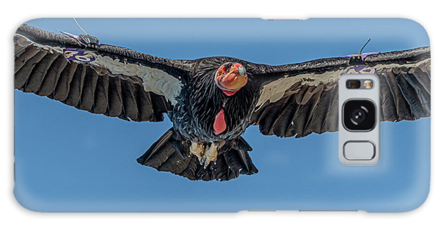 California Condor #46 Close Up In Flight Galaxy Case featuring the photograph California Condor #46 Close Up In Flight by Morris Finkelstein