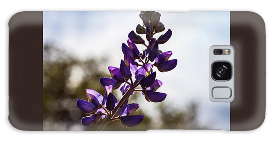 Lupine Galaxy Case featuring the photograph California Wild Lupine by Ryan Huebel