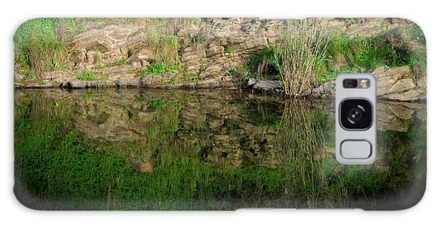Zen Galaxy Case featuring the photograph Calm Rock and Plants Reflections by Angelo DeVal