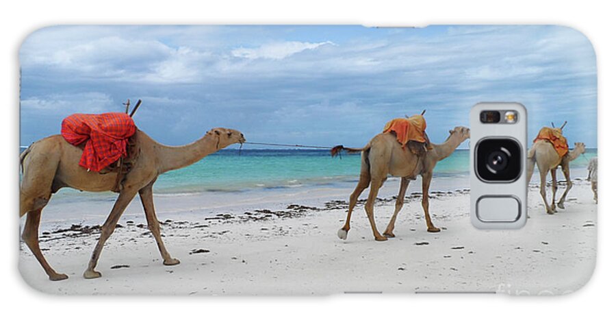 Beach Galaxy Case featuring the photograph Camels crossing a white beach in Mombasa, Kenya by Mendelex Photography